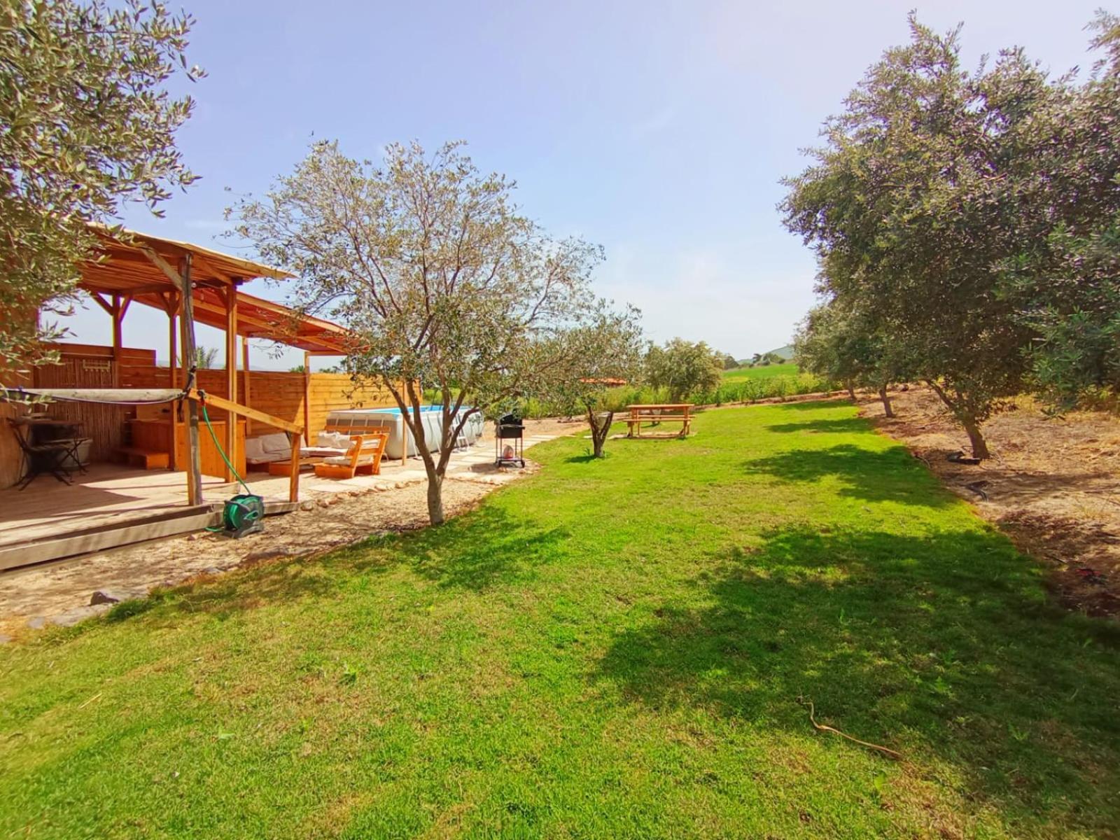 Olive Dome - כיפה גיאודזית ענקית ומודרנית בין עצי הזית Hotell Yavneʼel Exteriör bild